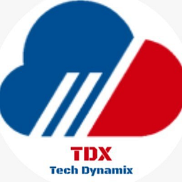 Tech Dynamix IT Services LLC logo