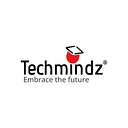 TECHMINDZ logo — Python Full Stack Trainer job on DevsUnite