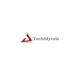 Techmynds Inc logo