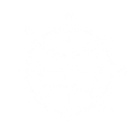 Technology Navigators logo