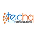 TechQ Consulting Services logo
