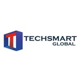 TECHSMART GLOBAL logo