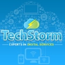 Techstorm Consulting Ltd logo