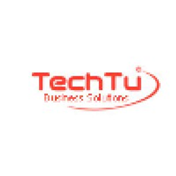 TechTu Business Solutions, Inc. logo