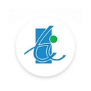 Techversant logo