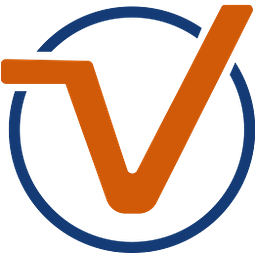 TechVirtue LLC logo