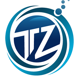Techzion IT Solutions Inc logo