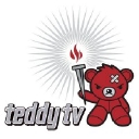 Teddy Tv Ltd logo