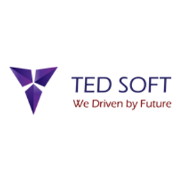 TED SOFT Solutions INC. logo