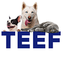 TEEF! Drinkable dental health