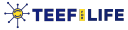 teefhealth.com logo