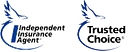The Excelsior Group, Inc. logo