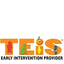Teis Inc logo