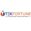 Tekfortune Inc logo