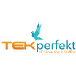 Tekperfekt Inc logo