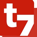 Telesis7 Consulting logo