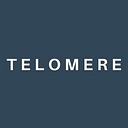 Favicon of Telomereconsulting