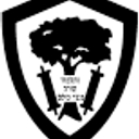 https://telsheyeshivachicago.com/ logo