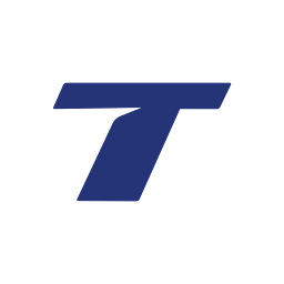 Temis Motorsports LLC logo