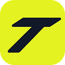 Temso logo