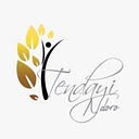 TendayiNdoro logo