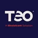 Teo logo