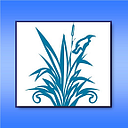 Te Papapa School logo