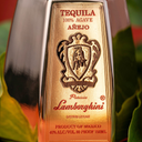 tequilapatrizialamborghini.com logo