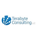 Terabyte Consulting, Llc. logo