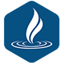 THE TERMEER INSTITUTE INC logo