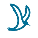 Tern logo
