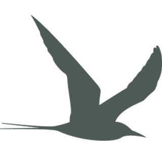 Ternpoint Solutions LP logo