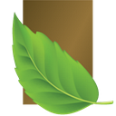 Terra Bella Health and Wellness Suites logo