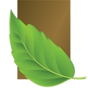 Terra Bella Health and Wellness Suites logo