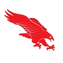 Terrahawk Civil Contractors logo