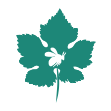 terravitis.com