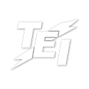 Terry's Electric Inc. logo