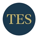 Turner Evans Stevens logo