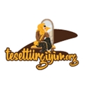 tesetturgiyim.org logo