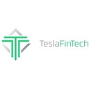 Tesla Fintech logo