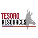 Tesoro Gold logo
