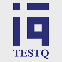 TESTQ TECHNOLOGIES LIMITED logo