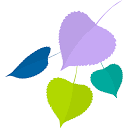 Teton County Foundation for Public Health logo