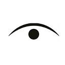 Texan Eye logo