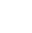 Texas Southern Land And Minerals logo