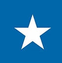 Texas811 logo