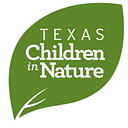 Texas Instruments Foundation logo