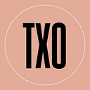 The Texas Democracy Foundation logo