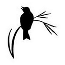 The Native Prairies Association of Texas logo