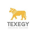 Texegy Llc logo